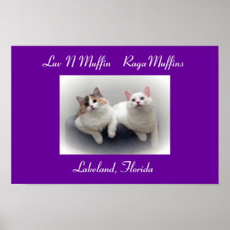 Luv N Muffin RagaMuffin Katzen & Kätzchen Poster