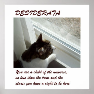 Luvlee's Window DESIDERATA Poster