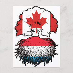Luxembourg Kanada Tree Root Postkarte