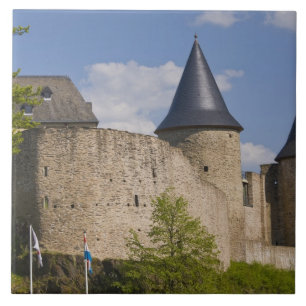 Luxemburg, Tal des Flusses Sauer. Bourscheid, Fliese