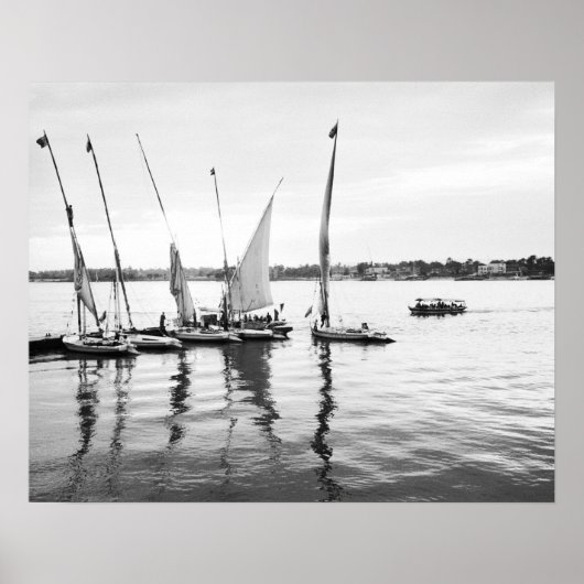 Luxor Ägypten, Feluccas am Nil Poster (Vorne)