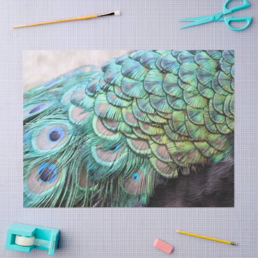 Luxuriöse Elegant Boho Aquamarin Pfauenfedern Seidenpapier (Basteln)