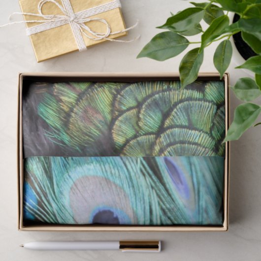 Luxuriöse Elegant Boho Aquamarin Pfauenfedern Seidenpapier (Geschenk)