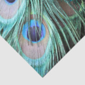 Luxuriöse Elegant Boho Aquamarin Pfauenfedern Seidenpapier (Detail)