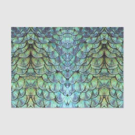 Luxuriöse Elegante Aquamarine Pfauenbackfedern Seidenpapier (Vorderseite)