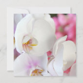 Luxuriöse Elegante White Orchid Hochzeit Einladung (Rückseite)