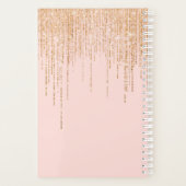 Luxuriöse Rosa Gold Funkelnd Glitzer Fringe Planer (Rückseite)