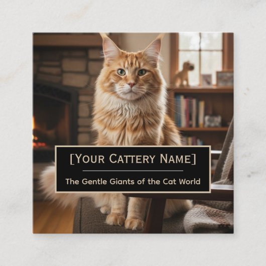 Luxury Maine Coon Cattery Photo Business Card Quadratische Visitenkarte (Vorderseite)