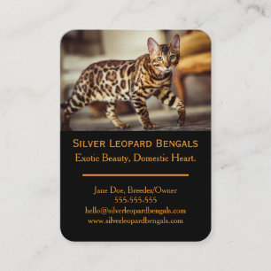 Luxus Bengal Katzen Züchter Visitenkarte – Individ