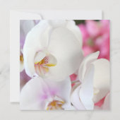 Luxus Elegante Weißer Orchid Einladung (Rückseite)