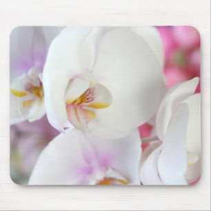 Luxus Elegante Weißer Orchid Mousepad