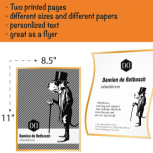 Luxus Flyer mit Goldrand für Hundeschulen