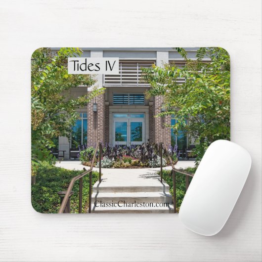 Luxuseigentumswohnungen der Gezeiten-IV Mousepad (Mit Mouse)