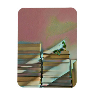 Luxusgeschenke für Buchliebhaber Magnet