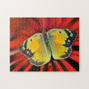 Luzerne-Schmetterling auf Kegelblume Puzzle