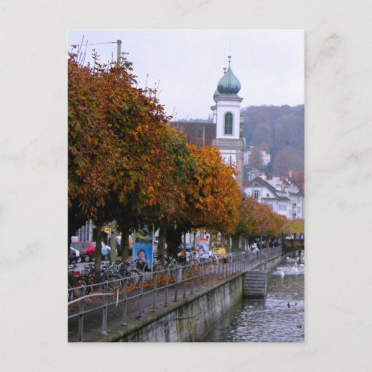 Luzerner Altstadt - Bäume am Ufer Postkarte (Vorderseite)
