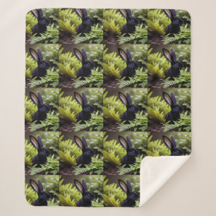 Luzifer, das schwarze Kaninchen: Ein dunkles Bünde Sherpadecke