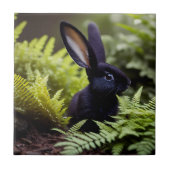 Luzifer der Schwarze Hase: Ein dunkles Bündel Misc Fliese (Vorderseite)