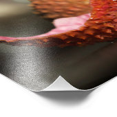 Lychee Fruit Fotografy, Fruit Macro Fotodruck (Ecke)