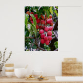 Lychee Fruit Poster (Küche)