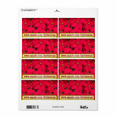 Lycheerose-Poinsettia-Etikett (Vorne)