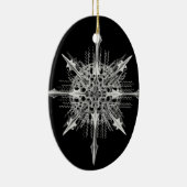 Lychnaspis miranda Ernst Haeckel Fine Art Keramikornament (Rechts)