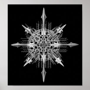 Lychnaspis miranda Ernst Haeckel-schöne Kunst Poster