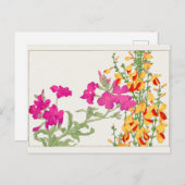 Lychnis coronaria, Cytisus von Tanigami Konan Postkarte (Vorne/Hinten)