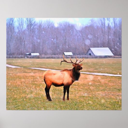 Lyck in der Großen Smoky-Gebirge Poster (Vorne)