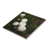 Lycoperdon-Puffballpilze Fliese (Seite)