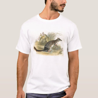 Lydekker - Banded Ant-Eater - Numbat T-Shirt