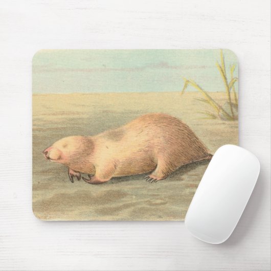 Lydekker - Beutelmole Mousepad (Mit Mouse)
