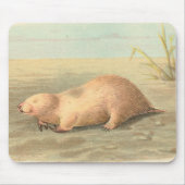 Lydekker - Beutelmole Mousepad (Vorne)