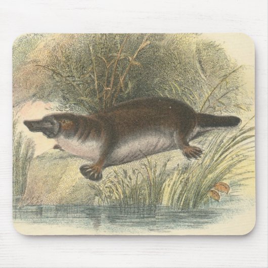 Lydekker - Platypus Mousepad (Vorne)