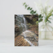 Lye Brook Falls Vermont Postkarte (Stehend Vorderseite)