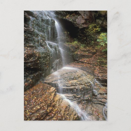 Lye Brook Falls Vermont Postkarte (Vorderseite)