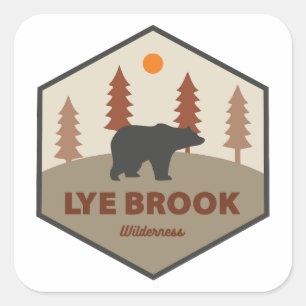 Lye Brook Wilderness Vermont Bär Quadratischer Aufkleber