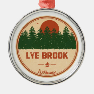 Lye Brook Wilderness Vermont Ornament Aus Metall