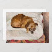 Lying Dog | Zygmunt Waliszewski (Vorne/Hinten)