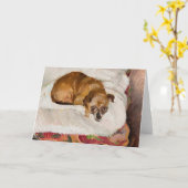 Lying Dog | Zygmunt Waliszewski Karte (Gelbe Blume)