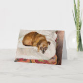 Lying Dog | Zygmunt Waliszewski Karte (Vorderseite)