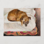 Lying Dog | Zygmunt Waliszewski Postkarte (Vorderseite)