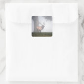 Lyk Stickers (Tasche)