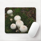 Lykoperdon Puffballpilze Mousepad (Mit Mouse)