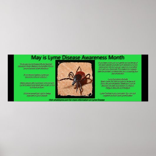 Lyme Disease Awareness Facts Poster (Vorne)