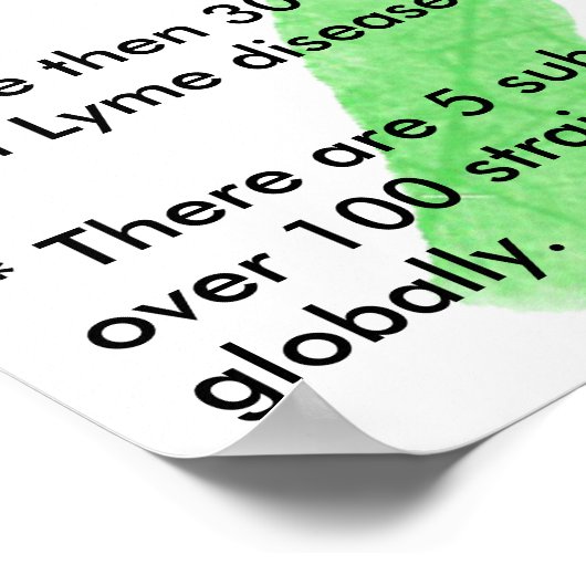 Lyme Disease Facts Educational Poster (Ecke)