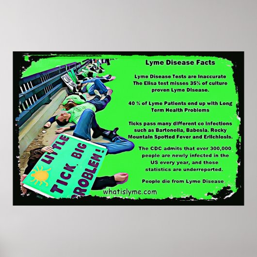 Lyme Disease Facts Poster (Vorne)