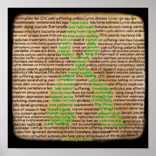 Lyme Disease Gefühls Poster, verleugnet, vernachlä Poster (Vorne)