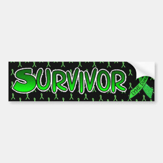 Lyme Disease Survivor Awareness Ribbons Bumper Autoaufkleber