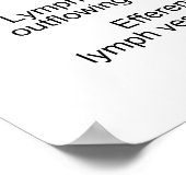 Lymph-Knoten mit Lymph-Fluss zu den Lymph-Sinusse Poster (Ecke)